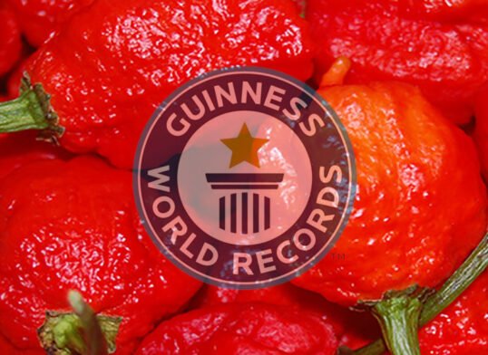 Carolina Reaper - Guinness World Records - peperoncino più piccante del mondo