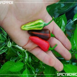 fish-pepper-