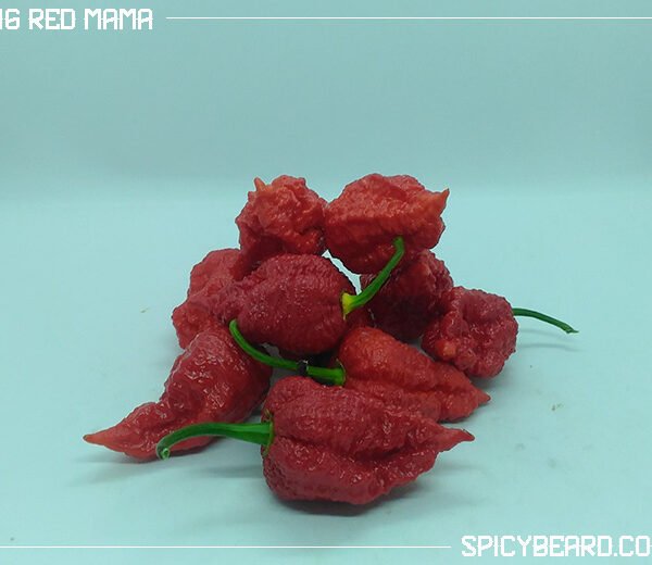 Peperoncino piccante Big Red Mama - Capsicum Chinense